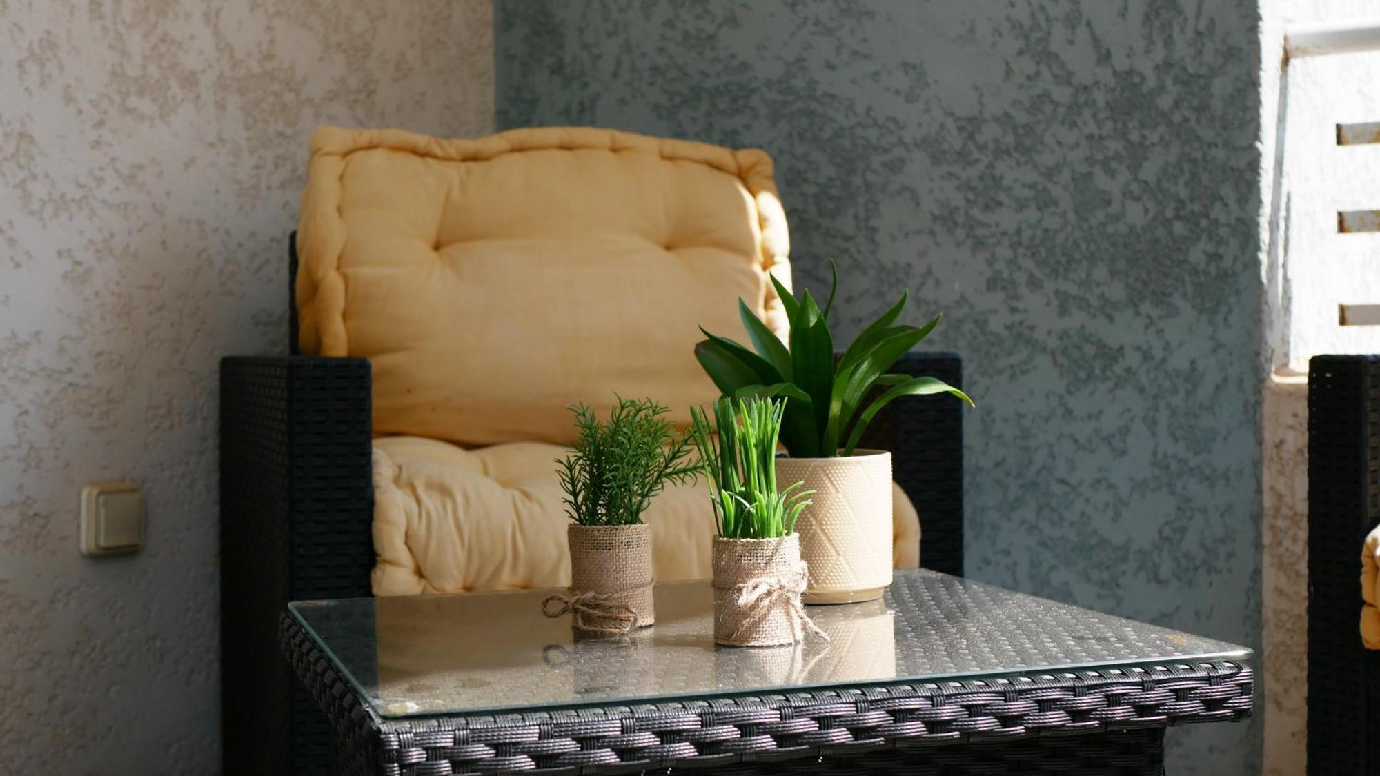 Capstay Avec Grande Terrasse Proche Aeroport Bastia - Lucciana - Centre Apartment *